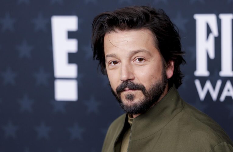 SCJN falla a favor de Diego Luna por uso no autorizado de su imagen